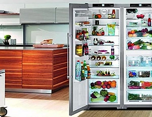 5 best large refrigerators