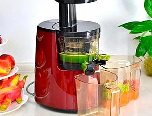 20 best auger juicers