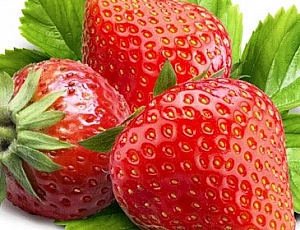 12 best varieties of strawberries for the Moscow region