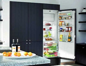 15 best built-in refrigerators