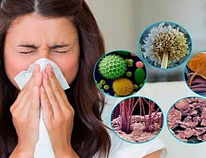 Top 15 des remèdes contre les allergies