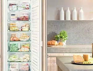 10 tips for choosing a freezer for your home