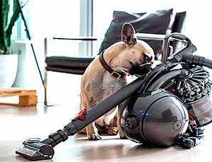 15 Best Vacuum Cleaners for Animal Hair