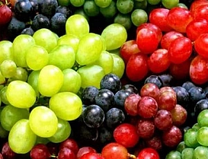 16 best grape varieties for the Moscow region