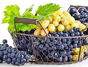 10 best grape varieties for the middle lane