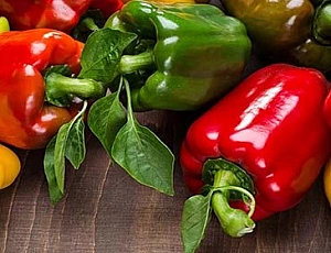 12 best pepper varieties for greenhouses