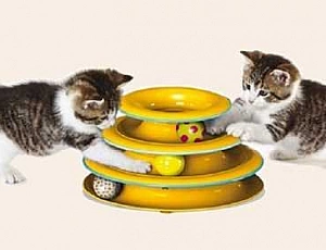 10 meilleurs jouets pour chats