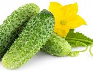 10 best varieties of gherkins