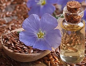 Top 10 Linseed Oil Producers