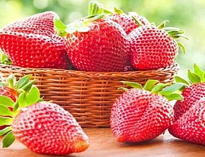 10 best strawberry varieties for Siberia