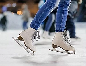 20 meilleurs patins