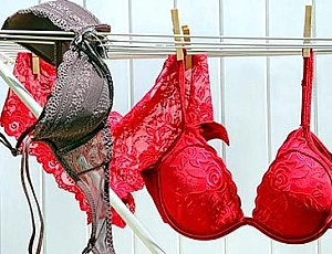 Top 10 Online Lingerie Stores