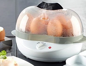 5 best egg cookers