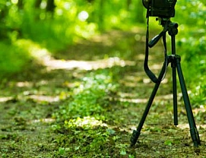 10 best professional tripods from Aliexpress