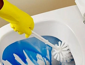 15 meilleurs nettoyants pour toilettes