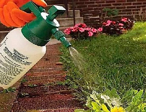 10 best weed killers