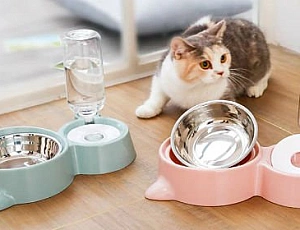 10 best automatic drinkers for cats and dogs from AliExpress