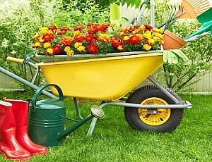 10 meilleures brouettes de jardin et de construction