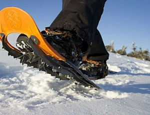 Top 5 snowshoes