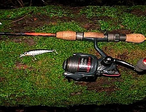 10 best spinning rods for twitching