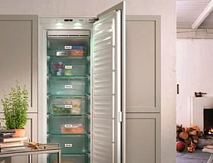 15 Best Freezers