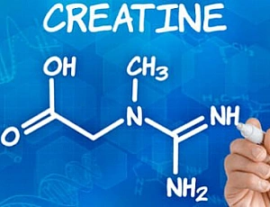 Top 10 des suppléments de créatine