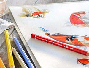 15 best watercolor pencil sets