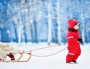 10 best sleds for kids