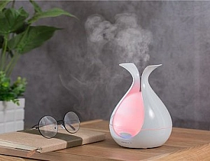 5 Best Steam Humidifiers