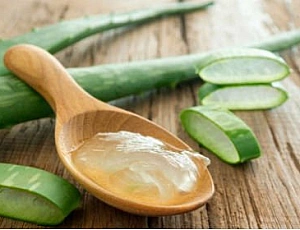 10 melhores géis de aloe