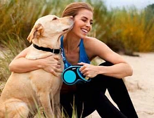 10 Best Dog Tape Brands