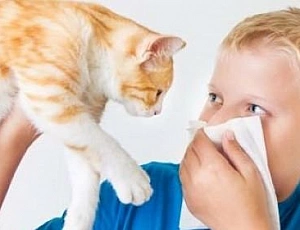 10 Best Antihistamines for Kids