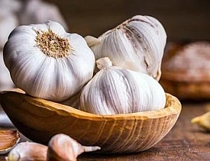 20 Best Garlic Supplements at iHerb