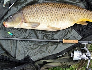 10 melhores carretéis de carpa