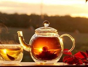 10 best teapots