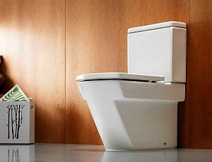 15 best floor standing toilets