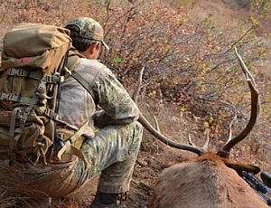 10 melhores mochilas para caça e pesca