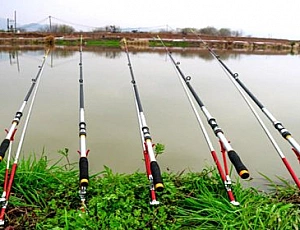 15 best feeder rods