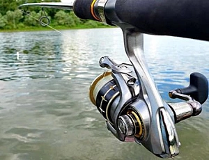 Top 5 des moulinets Daiwa