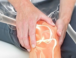 15 best chondroprotectors for joints