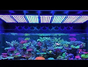 Top 10 aquarium lamps