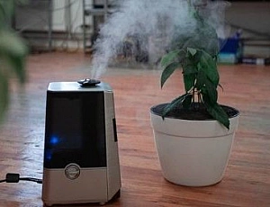 10 best budget humidifiers under 5000 rubles