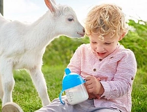 5 best goat milk formulas