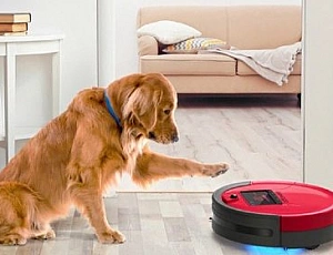 10 Best Robot Vacuum Cleaners for Animal Hair