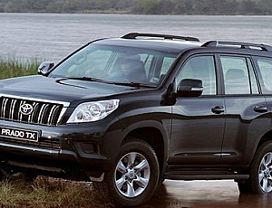 Compare gasoline and diesel Toyota Prado - which one is better to choose?