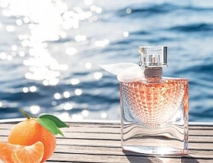 10 meilleurs parfums d'été pour femmes