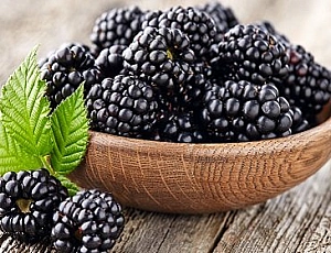 10 best blackberry varieties for the Moscow region