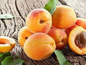 10 meilleures variétés d'abricots pour la voie du milieu