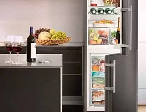 Best Budget Refrigerator from China - Haier, Xiaomi or Hisense?