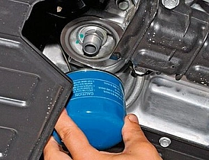 5 best oil filters for Kia Rio